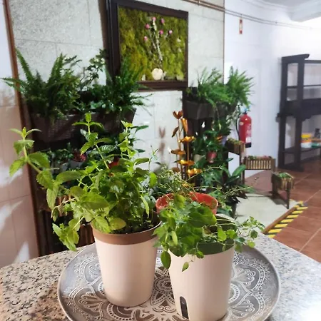 Zimao Garden House *