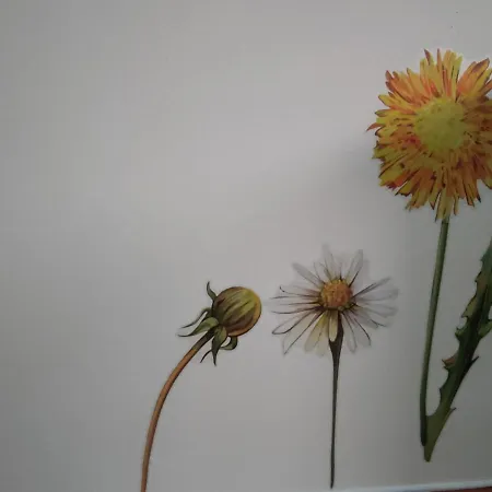 Zimao Garden House Gasthof Vila Pouca de Aguiar