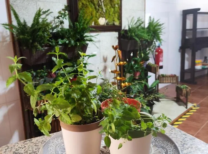 Zimao Garden House *