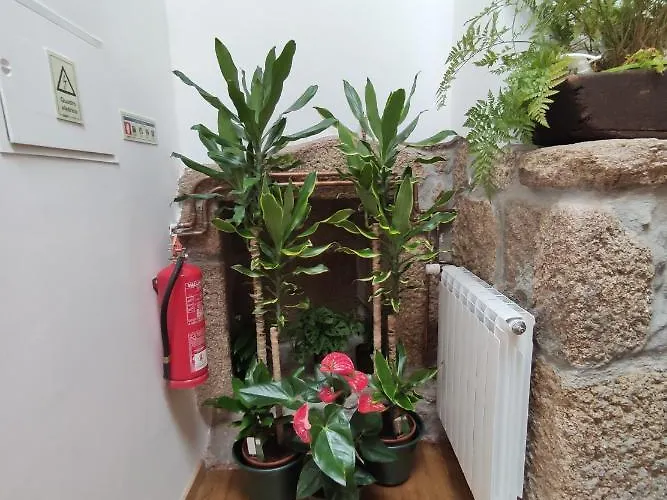 Guest house Zimao Garden House