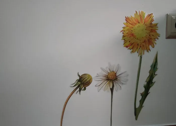 Zimao Garden House Guest house Vila Pouca de Aguiar