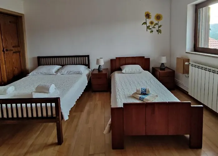 Guest house Zimao Garden House